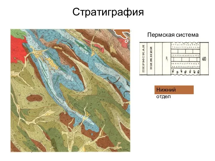 Стратиграфия Пермская система Нижний отдел