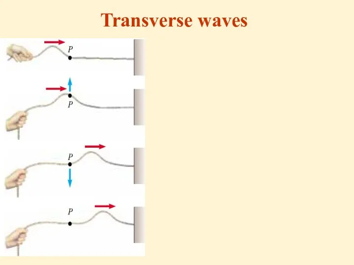 Transverse waves