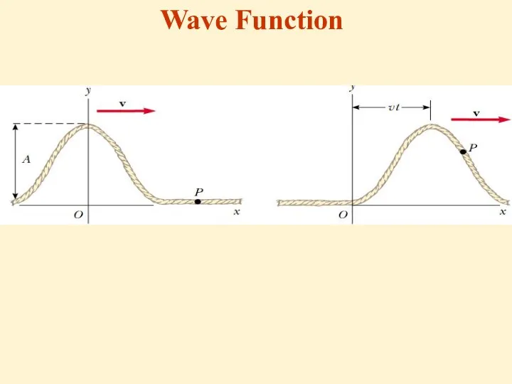 Wave Function