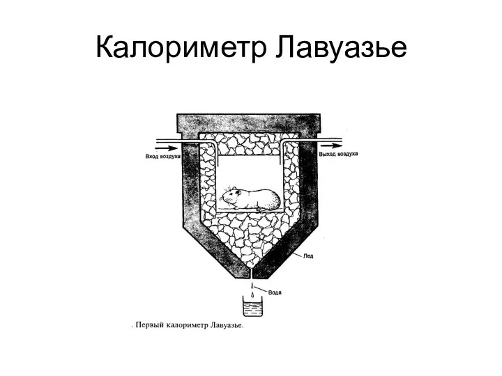 Калориметр Лавуазье