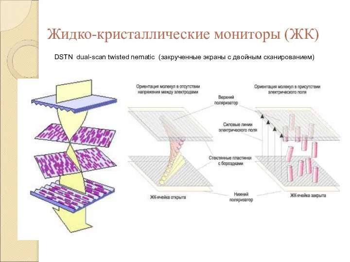 Жидко-кристаллические мониторы (ЖК) DSTN dual-scan twisted nematic (закрученные экраны с двойным сканированием)