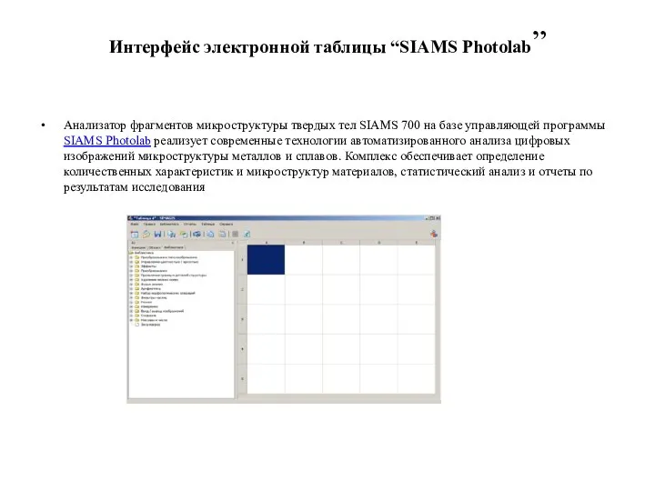 Интерфейс электронной таблицы “SIAMS Photolab” Анализатор фрагментов микроструктуры твердых тел SIAMS