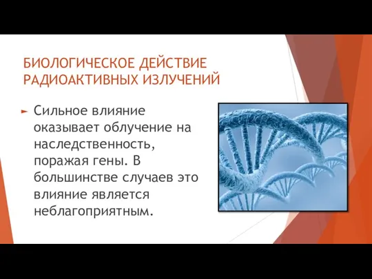 БИОЛОГИЧЕСКОЕ ДЕЙСТВИЕ РАДИОАКТИВНЫХ ИЗЛУЧЕНИЙ Сильное влияние оказывает облучение на наследственность, поражая