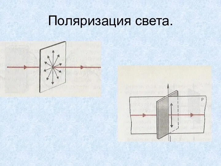 Поляризация света.