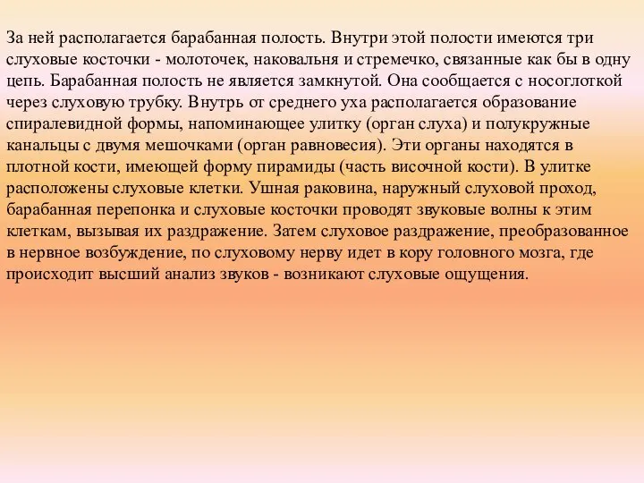 За ней располагается барабанная полость. Внутри этой полости имеются три слуховые