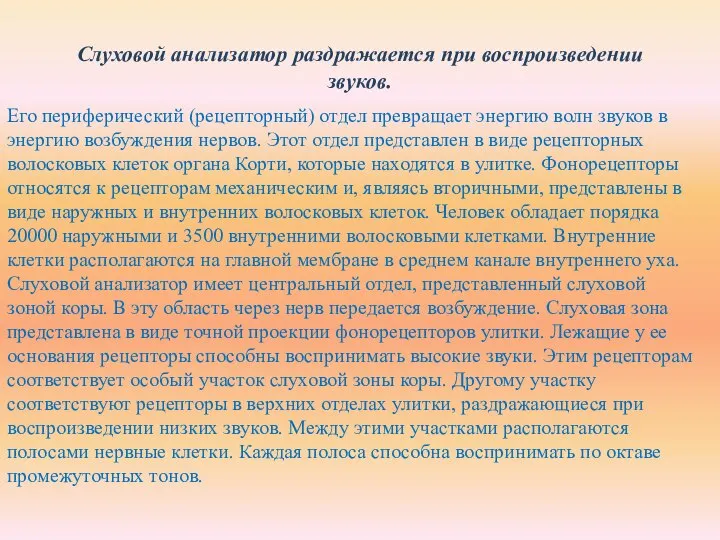 Слуховой анализатор раздражается при воспроизведении звуков. Его периферический (рецепторный) отдел превращает