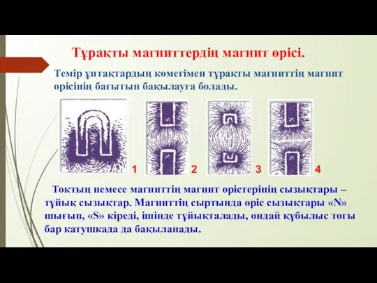 Тұрақты магниттердің магнит өрісі. Темір ұнтақтардың көмегімен тұрақты магниттің магнит өрісінің