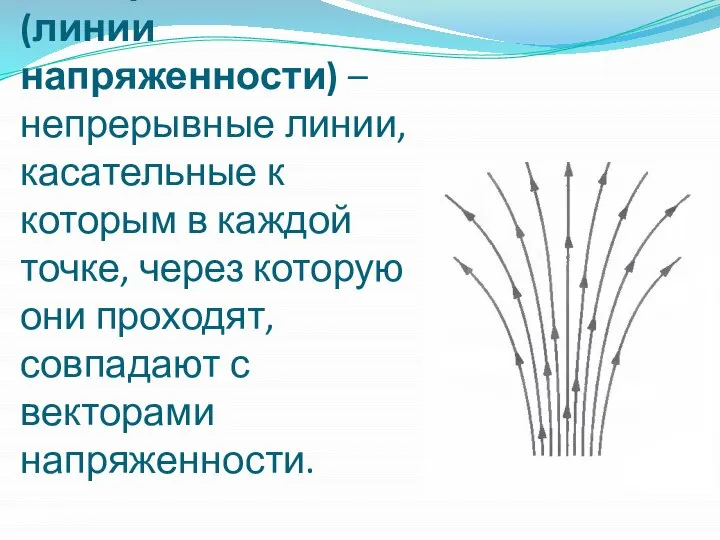 Силовые линии электрического поля (линии напряженности) – непрерывные линии, касательные к