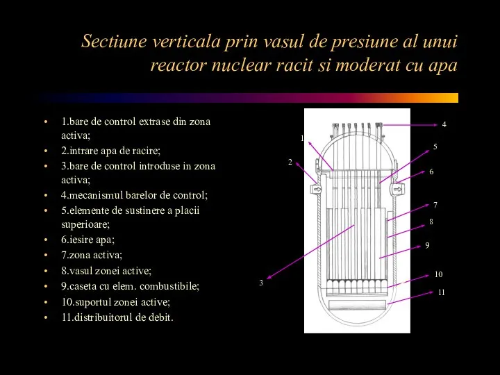 Sectiune verticala prin vasul de presiune al unui reactor nuclear racit