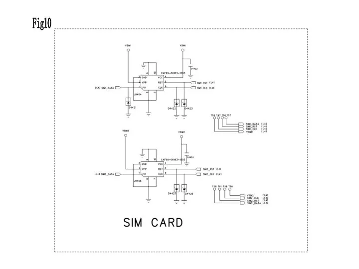 Fig10