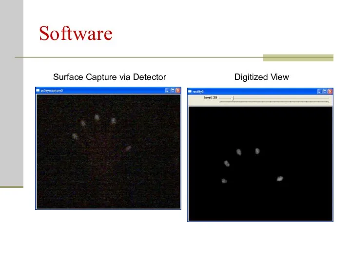 Software Surface Capture via Detector Digitized View