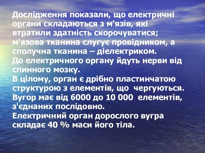 Дослідження показали, що електричні органи складаються з м'язів, які втратили здатність