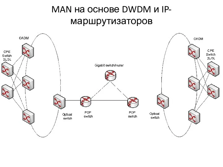 MAN на основе DWDM и IP-маршрутизаторов