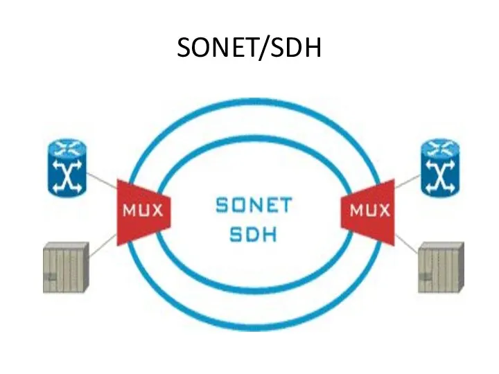 SONET/SDH