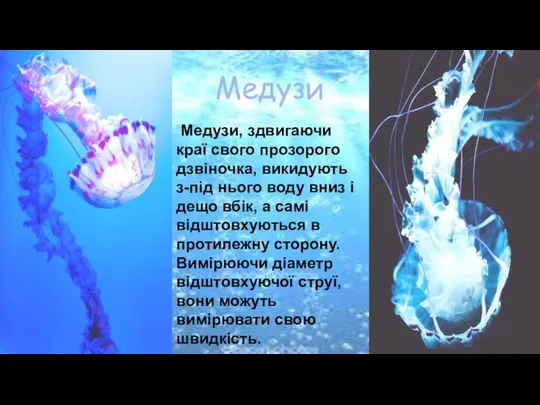 Медузи Медузи, здвигаючи краї свого прозорого дзвіночка, викидують з-під нього воду