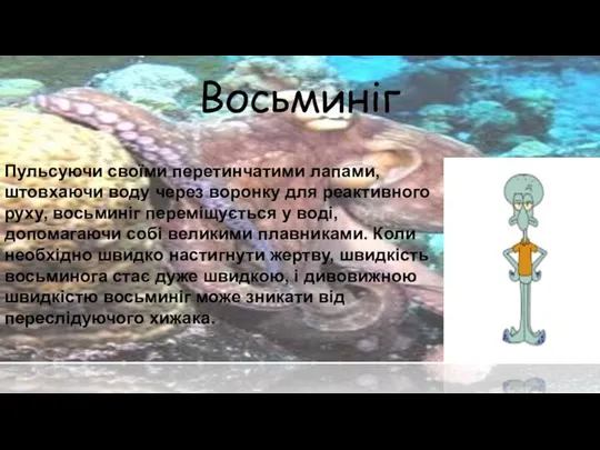 Восьминіг Пульсуючи своїми перетинчатими лапами, штовхаючи воду через воронку для реактивного