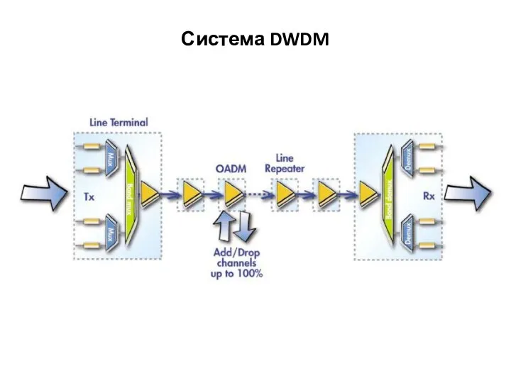 Система DWDM