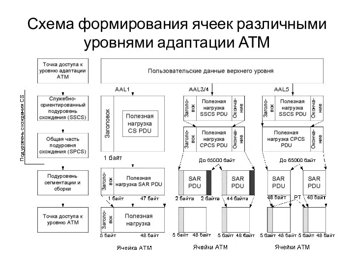 Схема формирования ячеек различными уровнями адаптации АТМ