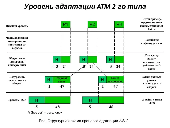 Уровень адаптации ATM 2-го типа H (header) – заголовок 3 24