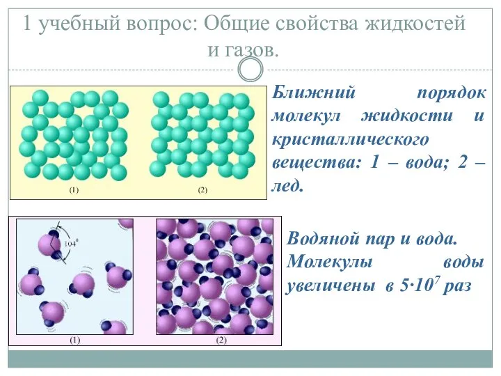 1 учебный вопрос: Общие свойства жидкостей и газов. Ближний порядок молекул