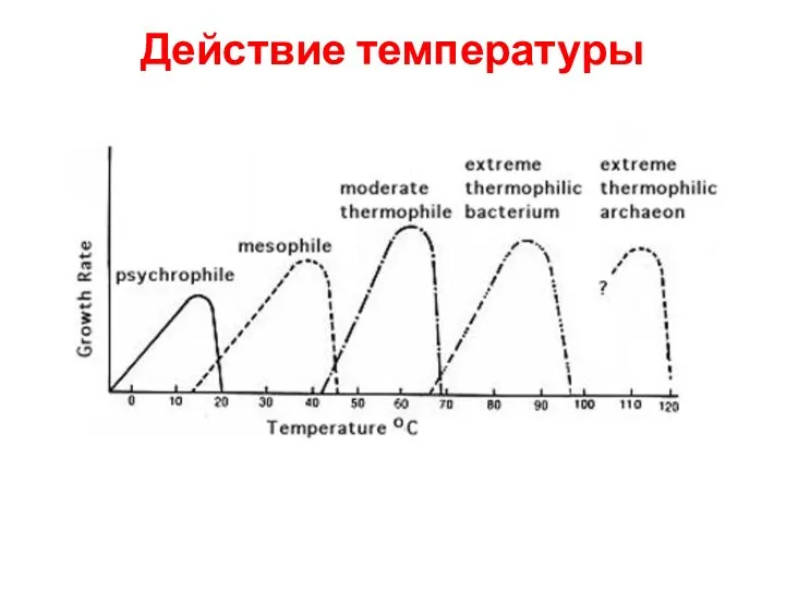 Действие температуры