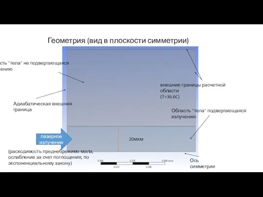 Геометрия (вид в плоскости симметрии) Область "тела" подвергающаяся излучению лазерное излучение