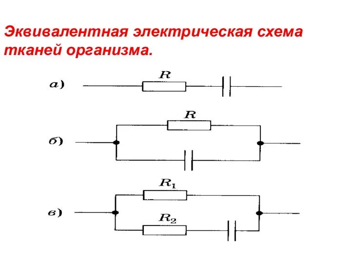 Эквивалентная электрическая схема тканей организма.