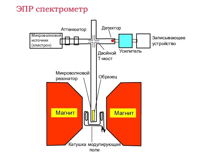 Усилитель Записывающее устройство Аттенюатор Микроволновой источник (клистрон) Микроволновой резонатор Детектор Образец Двойной Т-мост ЭПР спектрометр