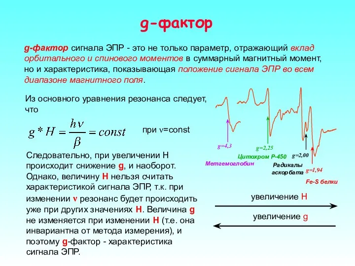 g-фактор g-фактор сигнала ЭПР - это не только параметр, отражающий вклад