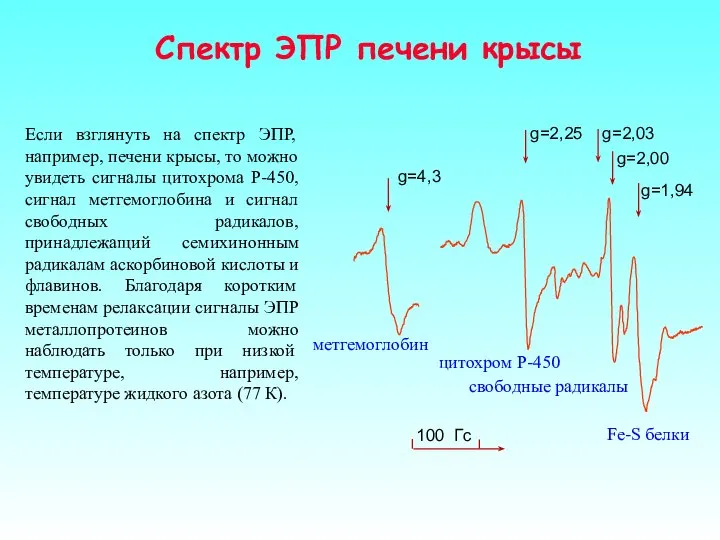 Если взглянуть на спектр ЭПР, например, печени крысы, то можно увидеть