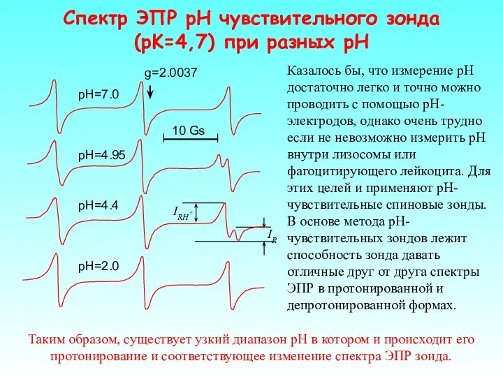 Cпектр ЭПР рН чувствительного зонда (pK=4,7) при разных рН Казалось бы,
