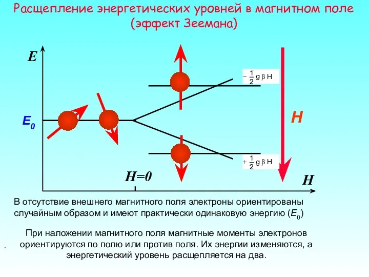 H E При наложении магнитного поля магнитные моменты электронов ориентируются по