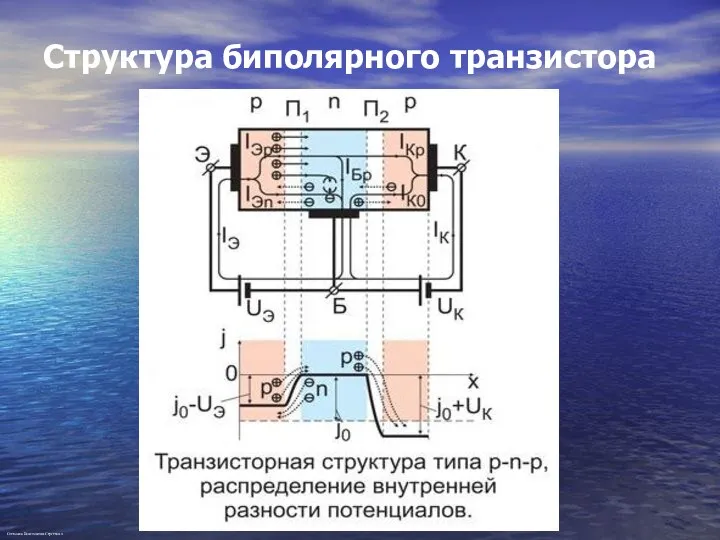 Структура биполярного транзистора Степанов Константин Сергеевич