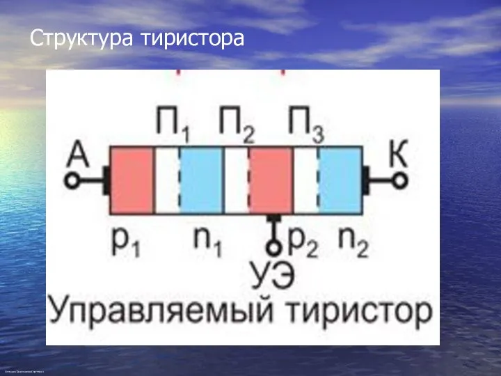 Структура тиристора Степанов Константин Сергеевич