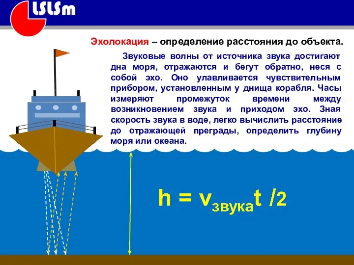 Эхолокация – определение расстояния до объекта. Звуковые волны от источника звука