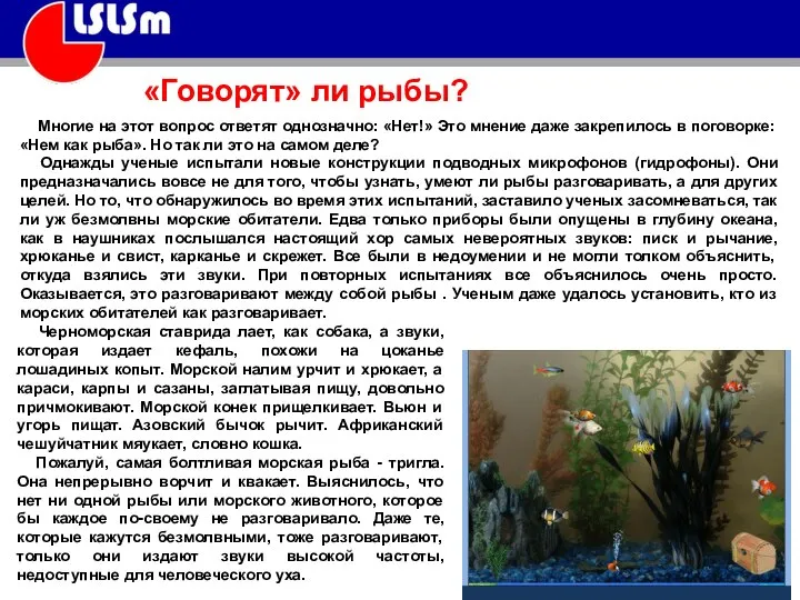 Многие на этот вопрос ответят однозначно: «Нет!» Это мнение даже закрепилось