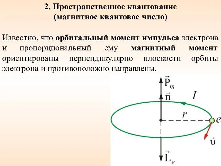 2. Пространственное квантование (магнитное квантовое число) Известно, что орбитальный момент импульса