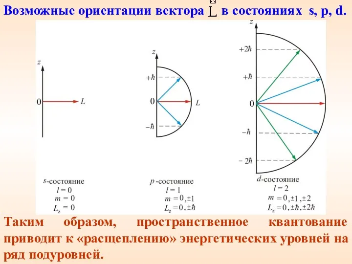 Таким образом, пространственное квантование приводит к «расщеплению» энергетических уровней на ряд