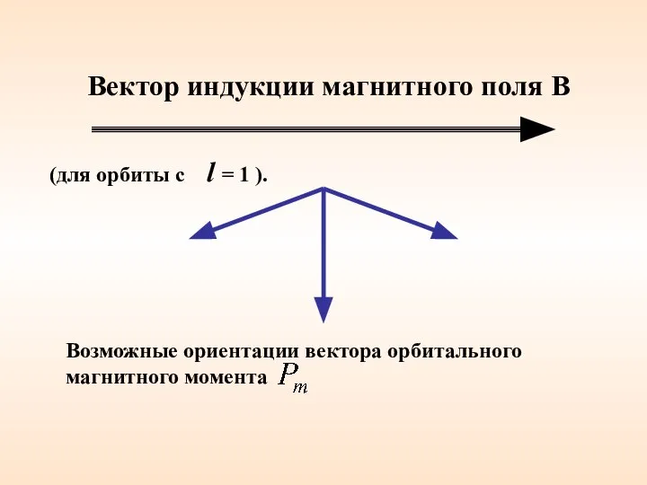 Вектор индукции магнитного поля В Возможные ориентации вектора орбитального магнитного момента