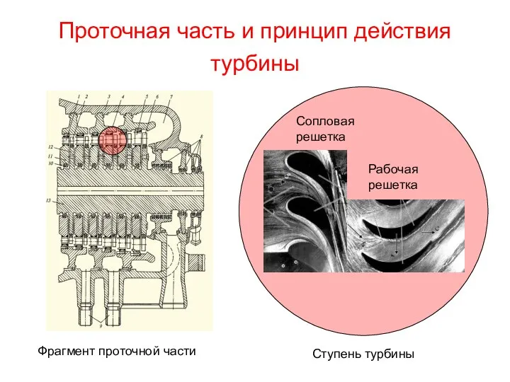 Проточная часть и принцип действия турбины Фрагмент проточной части Ступень турбины Рабочая решетка Сопловая решетка