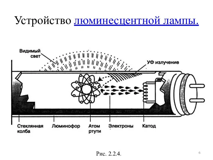 Устройство люминесцентной лампы. Рис. 2.2.4.