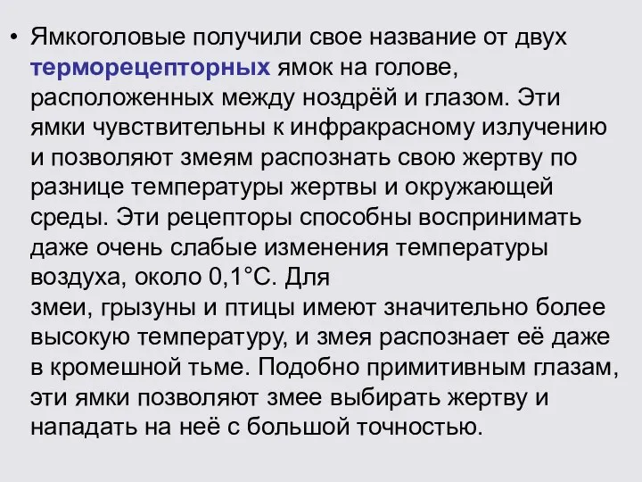 Ямкоголовые получили свое название от двух терморецепторных ямок на голове, расположенных