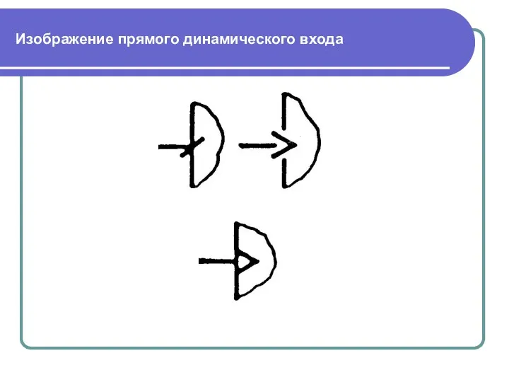 Изображение прямого динамического входа