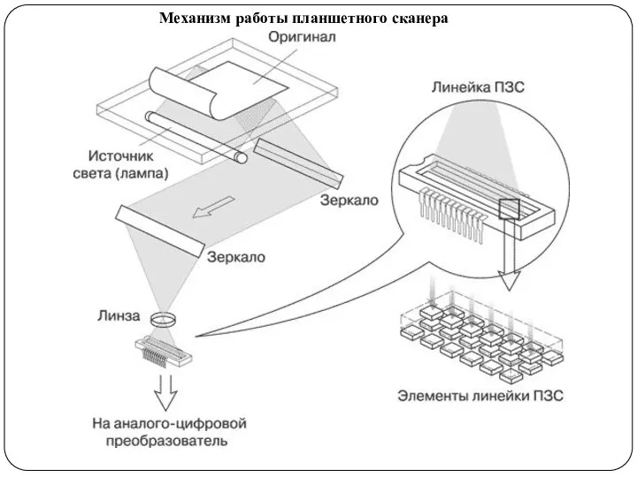 Механизм работы планшетного сканера