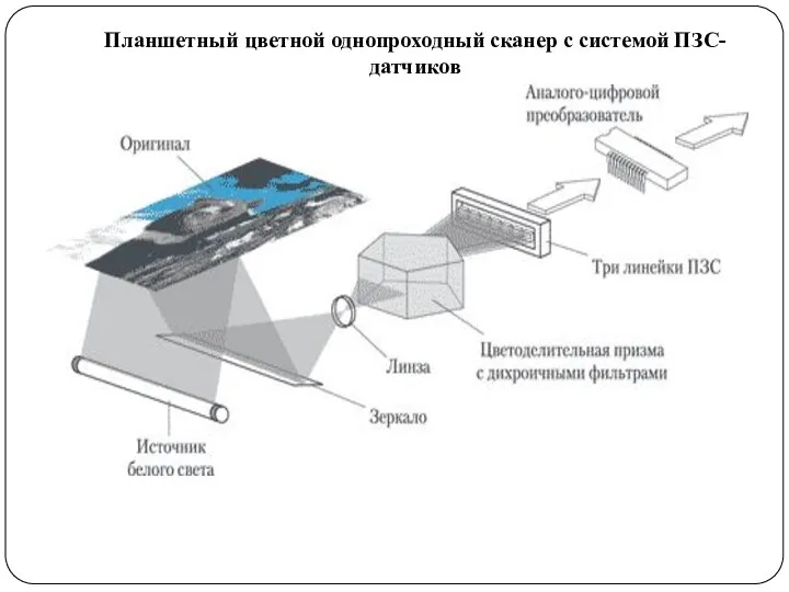 Планшетный цветной однопроходный сканер с системой ПЗС-датчиков