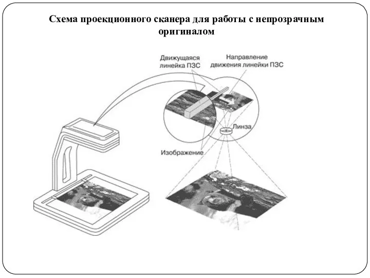 Схема проекционного сканера для работы с непрозрачным оригиналом