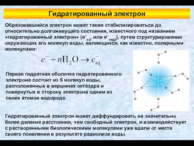 Образовавшийся электрон может также стабилизироваться до относительно долгоживущего состояния, известного под