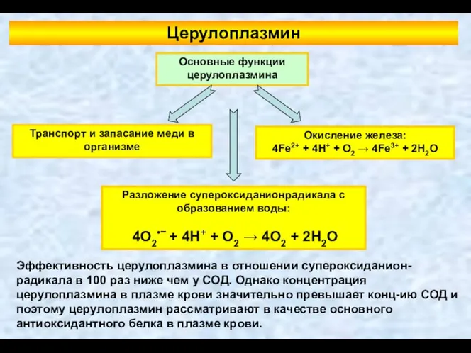 Церулоплазмин Транспорт и запасание меди в организме Окисление железа: 4Fe2+ +