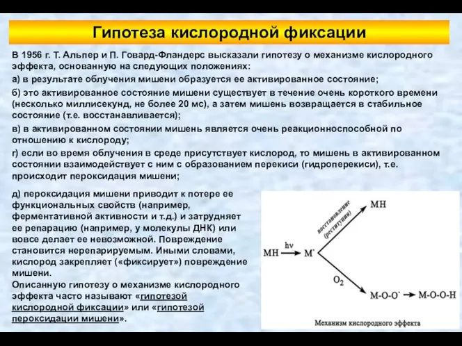 В 1956 г. Т. Альпер и П. Говард-Фландерс высказали гипотезу о