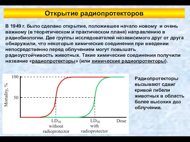 В 1949 г. было сделано открытие, положившее начало новому и очень